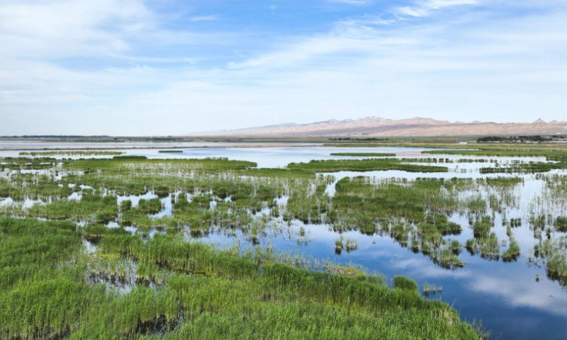 This aerial photo taken on June 4, 2023 shows the scenery of Ulan Suhai Lake in Urad Front Banner in Bayannur, north China's Inner Mongolia Autonomous Region. (Xinhua/Bei He)