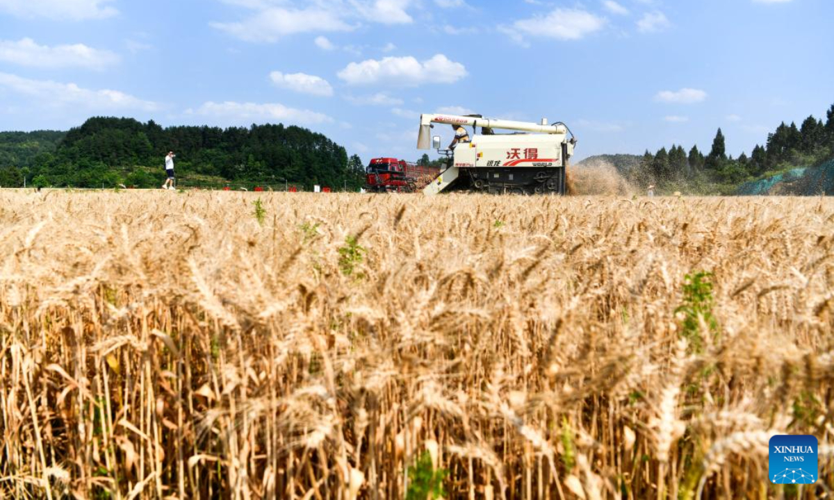 A harvester harvests crops in a wheat field at Yantang Village of Kaiyang County in Guiyang, southwest China's Guizhou Province, May 31, 2023. Photo:Xinhua