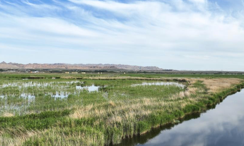 This aerial photo taken on June 4, 2023 shows the scenery of Ulan Suhai Lake in Urad Front Banner in Bayannur, north China's Inner Mongolia Autonomous Region. (Xinhua/Bei He)