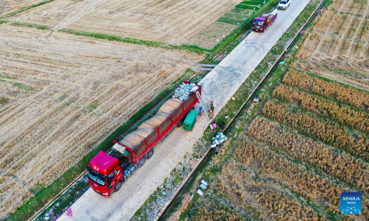 This aerial photo shows farmers loading sacks of newly-harvested wheat into a truck at Yantang Village of Kaiyang County in Guiyang, southwest China's Guizhou Province, May 31, 2023. Photo:Xinhua