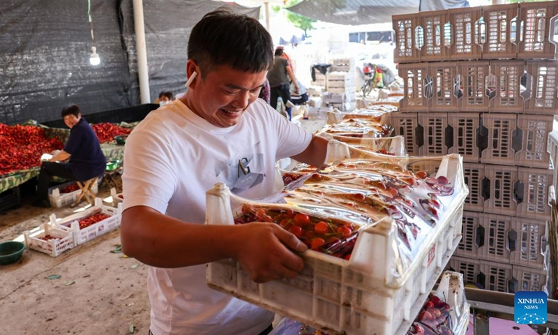 A buyer from Anhui Province carries cherries in the local cherry market in Yanya Township of Yiyuan County, east China's Shandong Province, May 31, 2023. Cherry harvest is in full swing in Yanya Township. The local cherry market stretching for 3 kilometers has attracted buyers from all over the country.(Photo: Xinhua)