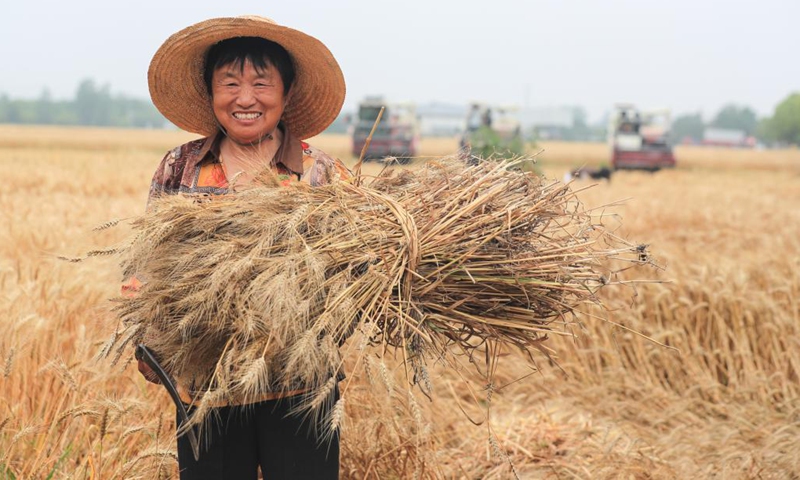 A farmer shows newly-harvested wheat in a field in Huaisi Township of Yangzhou City, east China's Jiangsu Province, June 5, 2023. At present, large-scale wheat harvest is in full swing. Farmers worked day and night to ensure a bumper harvest.(Photo: Xinhua)