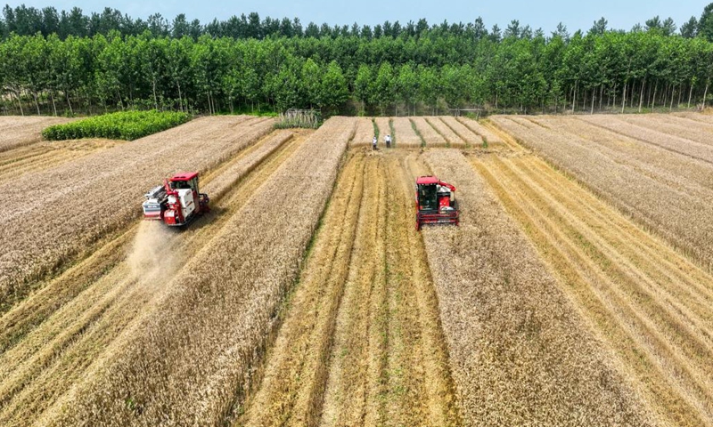 This aerial photo shows harvesters harvesting wheat in a field at Tuanfeng Township of Tuanfeng County, central China's Hubei Province, June 5, 2023. At present, large-scale wheat harvest is in full swing. Farmers worked day and night to ensure a bumper harvest.(Photo: Xinhua)