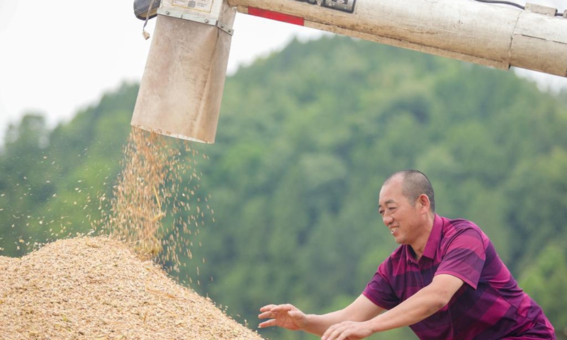 A farmer loads sacks of newly-harvested wheat into a truck in a field in Renhe Township of Shehong County, Suining City, southwest China's Sichuan Province, June 5, 2023. At present, large-scale wheat harvest is in full swing. Farmers worked day and night to ensure a bumper harvest.(Photo: Xinhua)