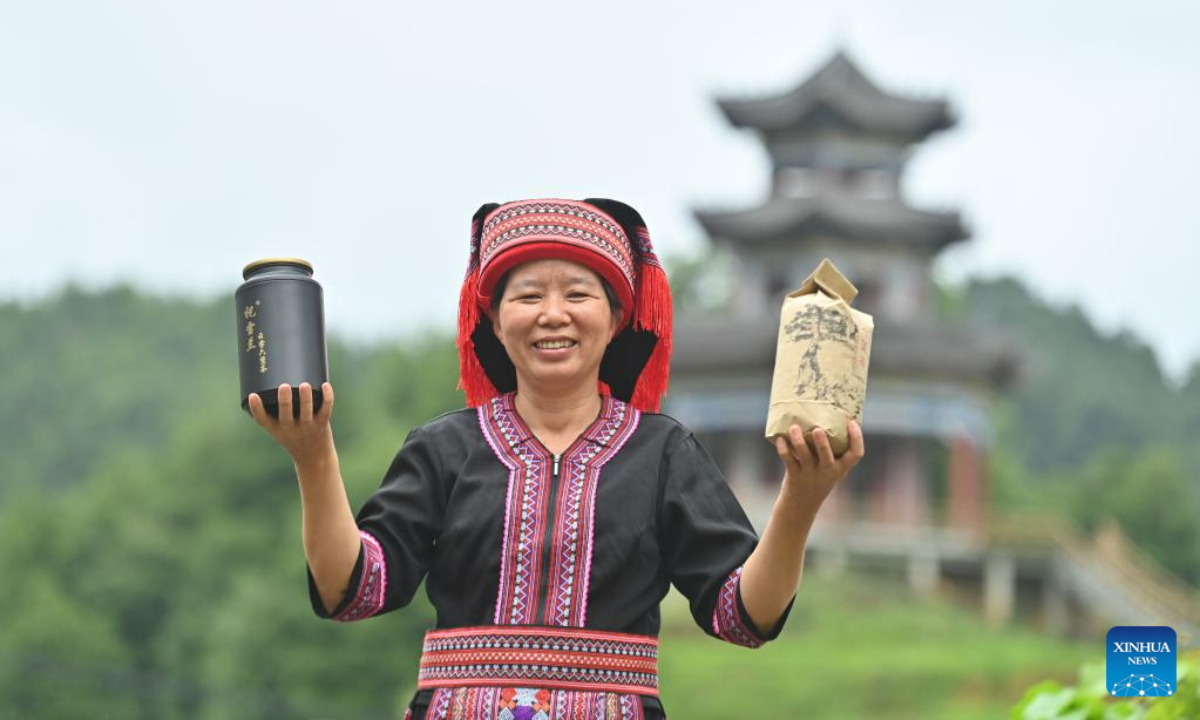 Zhu Xuelan demonstrates the tea she made at Shanping Village of Cangwu County, south China's Guangxi Zhuang Autonomous Region, June 7, 2023. Zhu Xuelan, Party secretary of Shangping Village and representative inheritor of Liubao tea making technique, has promoted traditional tea making technique and developed the tea planting industry to increase local residents' incomes. Photo:Xinhua