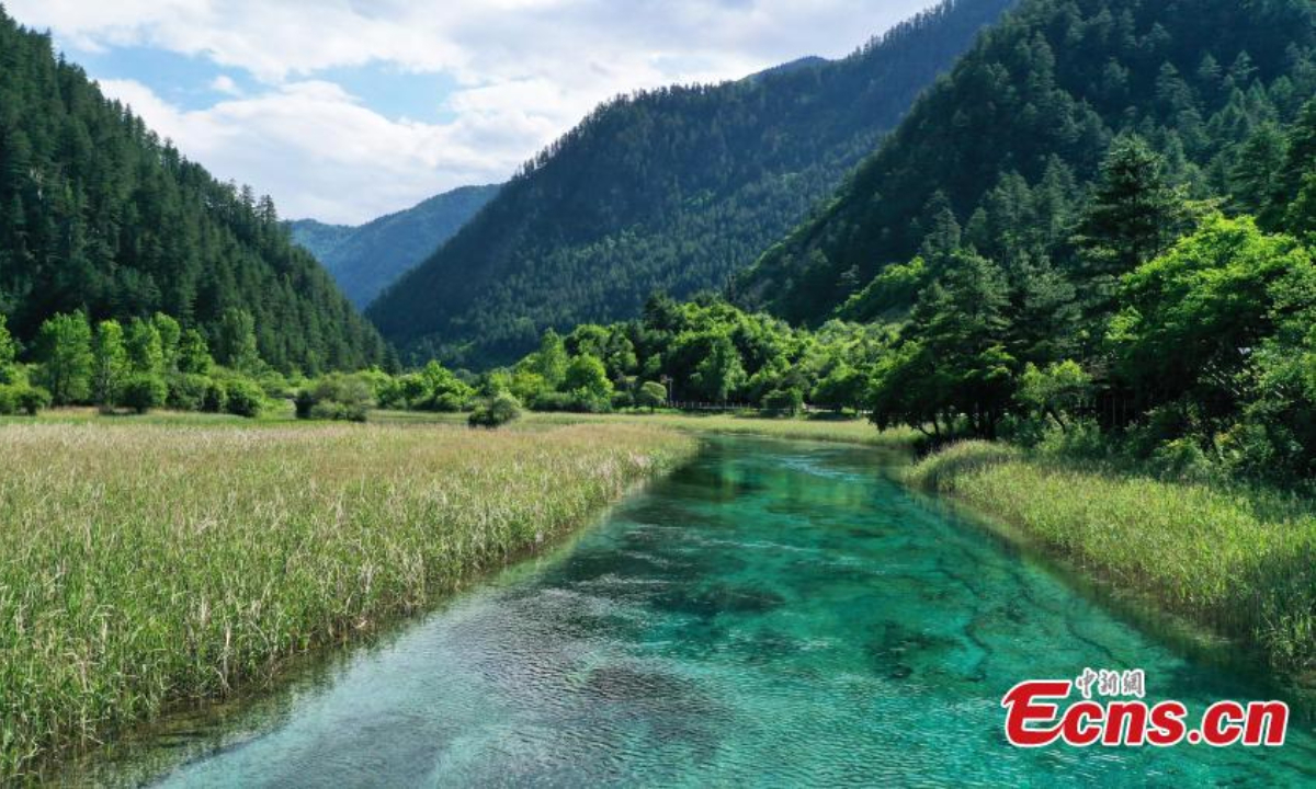 Spectacular summer scenery in Jiuzhaigou National Park, a UNESCO World Heritage site in southwest China's Sichuan Province, June 8, 2023. Waterfalls, lush forests and serene plateau lakes attract many tourists. Photo: China News Service