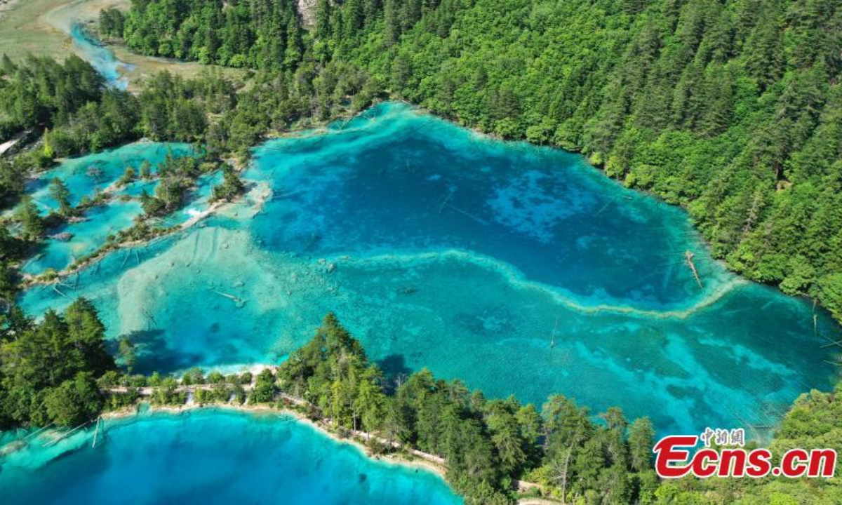 Spectacular summer scenery in Jiuzhaigou National Park, a UNESCO World Heritage site in southwest China's Sichuan Province, June 8, 2023. Waterfalls, lush forests and serene plateau lakes attract many tourists. Photo: China News Service