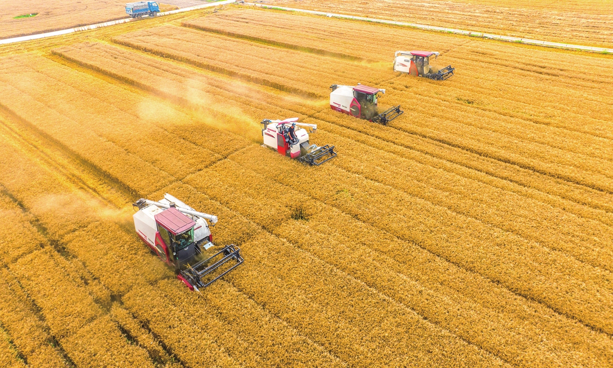 Farmers drive machines to harvest wheat in Hai'an city, East China's Jiangsu Province on June 7, 2023. As a total of 550,000 mu (36,666.7 hectares) of wheat in the city enters the harvest season, local farmers work day and night to ensure that the crops can be collected quickly. Photo: IC