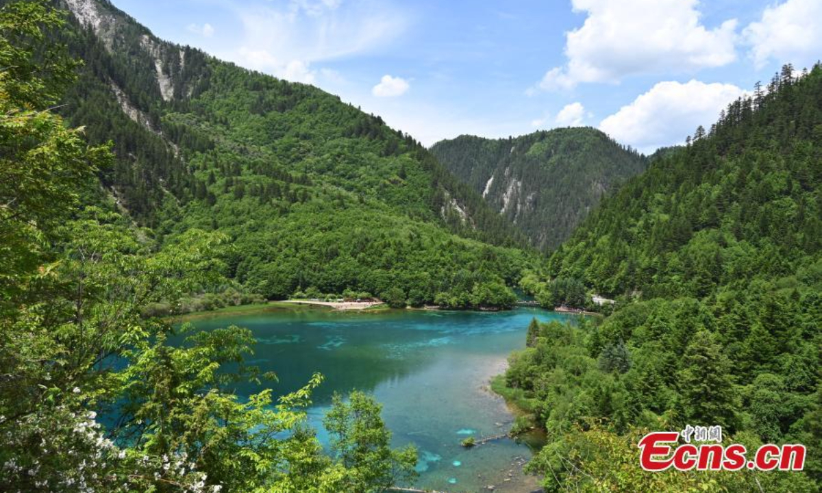 Spectacular summer scenery in Jiuzhaigou National Park, a UNESCO World Heritage site in southwest China's Sichuan Province, June 8, 2023. Waterfalls, lush forests and serene plateau lakes attract many tourists. Photo: China News Service