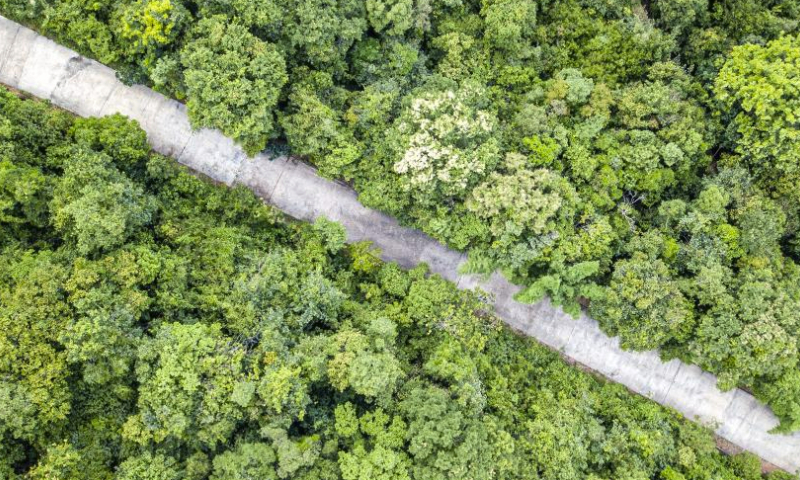 This aerial photo taken on June 10, 2023 shows a view of Khorat Geopark in Nakhon Ratchasima Province, Thailand. Located in the northeast of Thailand, the geopark covers an area of about 3,167 square kilometers and is the second global geopark in Thailand. (Xinhua/Wang Teng)

