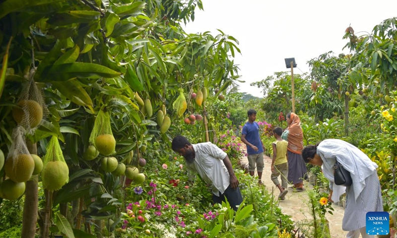 Visitors view plants during a tree fair in Dhaka, Bangladesh, June 13, 2023. A month-long tree fair, entitled National Tree Fair, kicked off here on June 5 in Dhaka.(Photo: Xinhua)