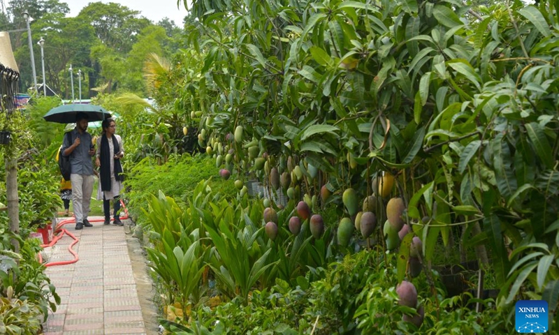 Visitors view plants during a tree fair in Dhaka, Bangladesh, June 13, 2023. A month-long tree fair, entitled National Tree Fair, kicked off here on June 5 in Dhaka.(Photo: Xinhua)