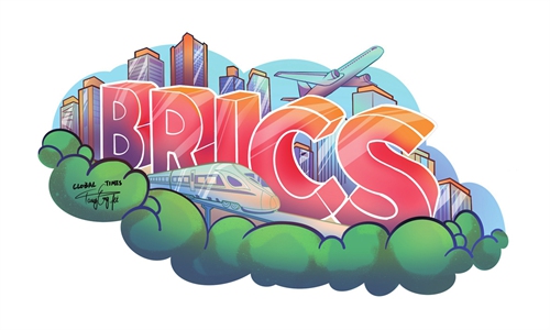 Why Macron may have a fondness for BRICS - Global Times