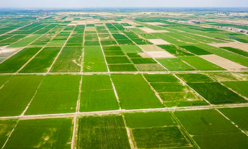 This aerial photo taken on June 17, 2023 shows the scenery in Linhe District in Bayannur, north China's Inner Mongolia Autonomous Region. (Xinhua/Peng Yuan)