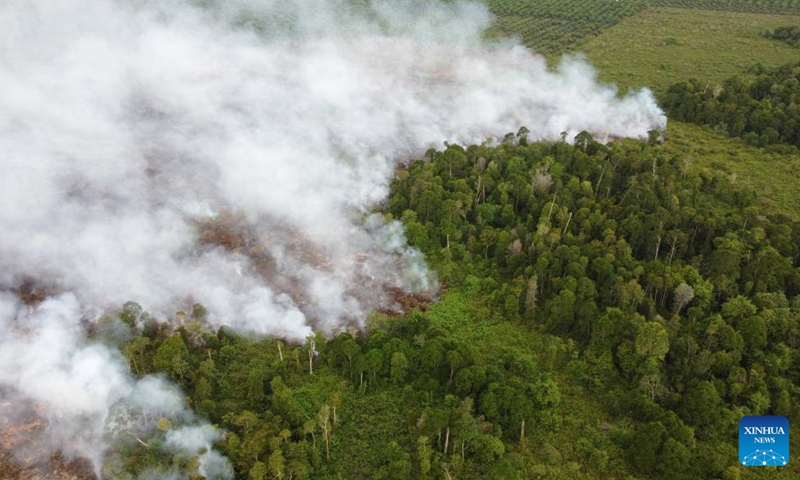 This aerial photo shows smoke of a peatland fire in Suak Puntong village in Nagan Raya district, Aceh Province, Indonesia, June 23, 2023. (Photo by Yulham/Xinhua)