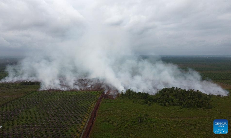 This aerial photo shows smoke of a peatland fire in Suak Puntong village in Nagan Raya district, Aceh Province, Indonesia, June 23, 2023. (Photo by Yulham/Xinhua)