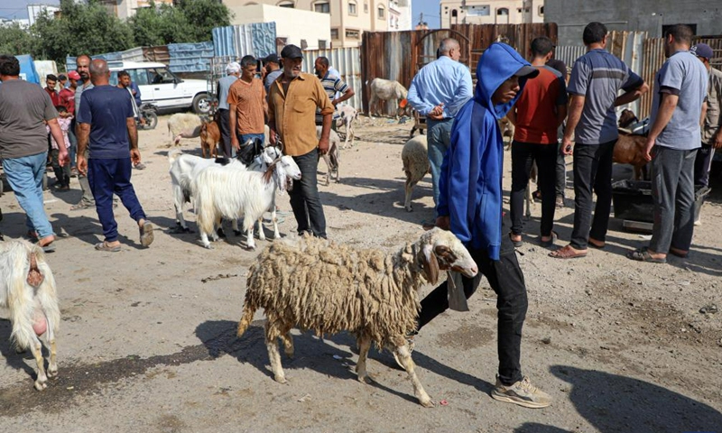 A man leads a sheep bought at a livestock market ahead of Eid al-Adha in Gaza City, on June 23, 2023. (Photo by Rizek Abdeljawad/Xinhua)