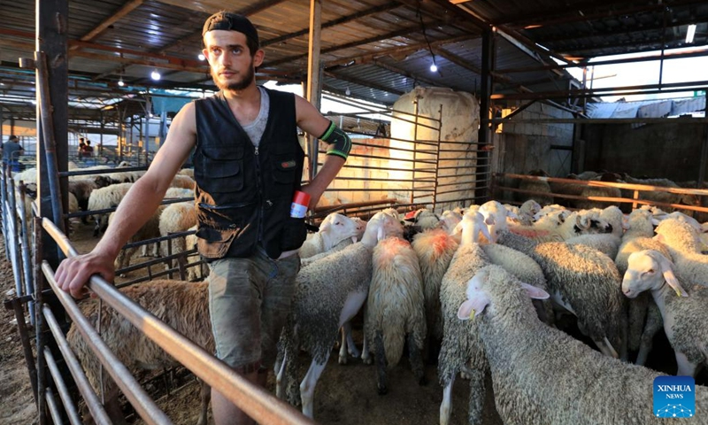 A seller waits for customers at a livestock market ahead of Eid al-Adha in Amman, Jordan, on June 23, 2023. (Photo by Mohammad Abu Ghosh/Xinhua)