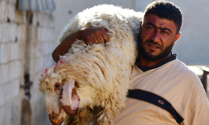 A man carries a sheep at a livestock market ahead of the Muslim festival of Eid al-Adha, or the Feast of Sacrifice, in Damascus, Syria, June 27, 2023. (Photo by Ammar Safarjalani/Xinhua)