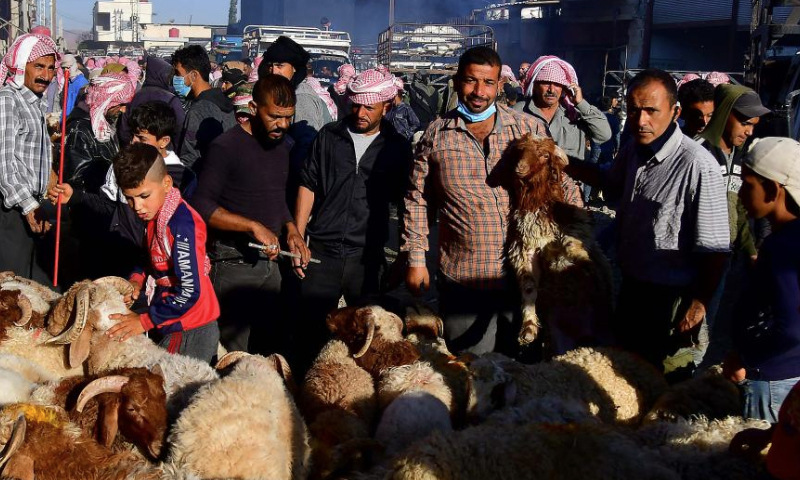 People visit a livestock market ahead of the Muslim festival of Eid al-Adha, or the Feast of Sacrifice, in Damascus, Syria, June 27, 2023. (Photo by Ammar Safarjalani/Xinhua)