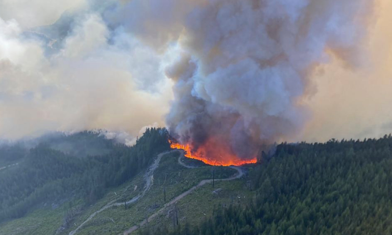 Undated aerial photo provided by BC Wildfire Service shows wildfires in the coastal region of British Columbia, Canada. Canada is seeing its worst fire season on record as hundreds of blazes rage across the country, with more than 250 burning 