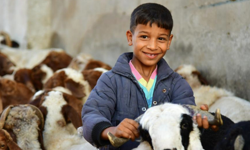 A boy is seen at a livestock market ahead of the Muslim festival of Eid al-Adha, or the Feast of Sacrifice, in Damascus, Syria, June 27, 2023. (Photo by Ammar Safarjalani/Xinhua)