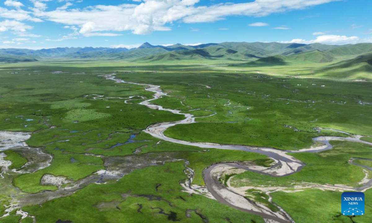 This aerial photo taken on July 6, 2023 shows the summer scenery of the Awancang Wetland in Maqu County, Gannan Tibetan Autonomous Prefecture of northwest China's Gansu Province. Photo:Xinhua