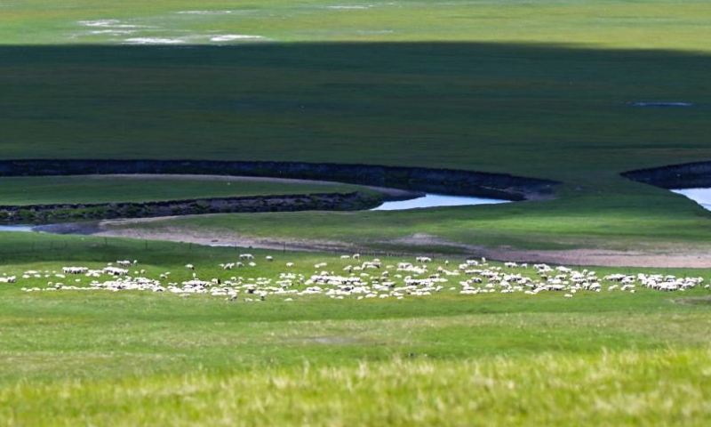 This photo taken on July 1, 2023 shows scenery along the Mergel Gol River in Hulun Buir, north China's Inner Mongolia Autonomous Region. (Xinhua/Lian Zhen)