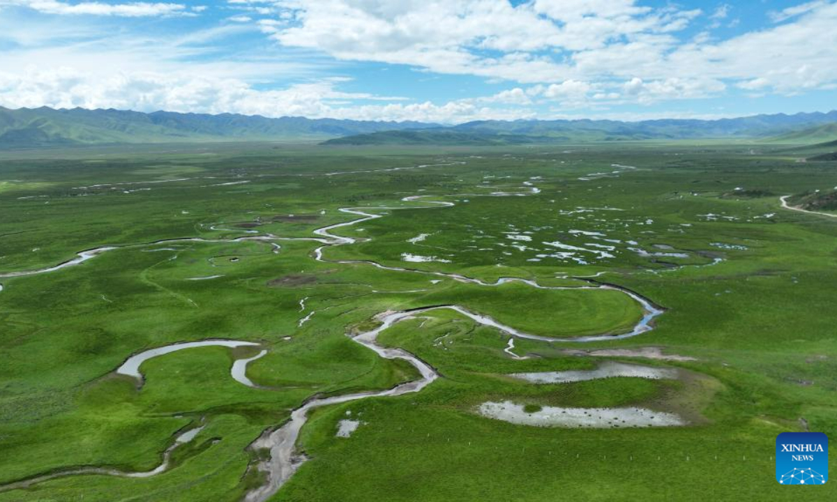 This aerial photo taken on July 6, 2023 shows the summer scenery of the Awancang Wetland in Maqu County, Gannan Tibetan Autonomous Prefecture of northwest China's Gansu Province. Photo:Xinhua