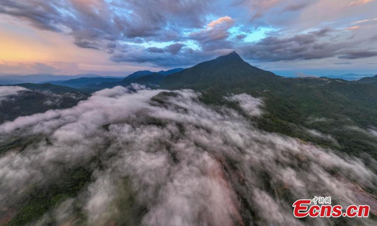 Wuzhi Mountain is shrouded by orange clouds at dusk at Hainan Tropical Rainforest National Park in south China's Hainan Province, June 29, 2023. Photo:China News Service