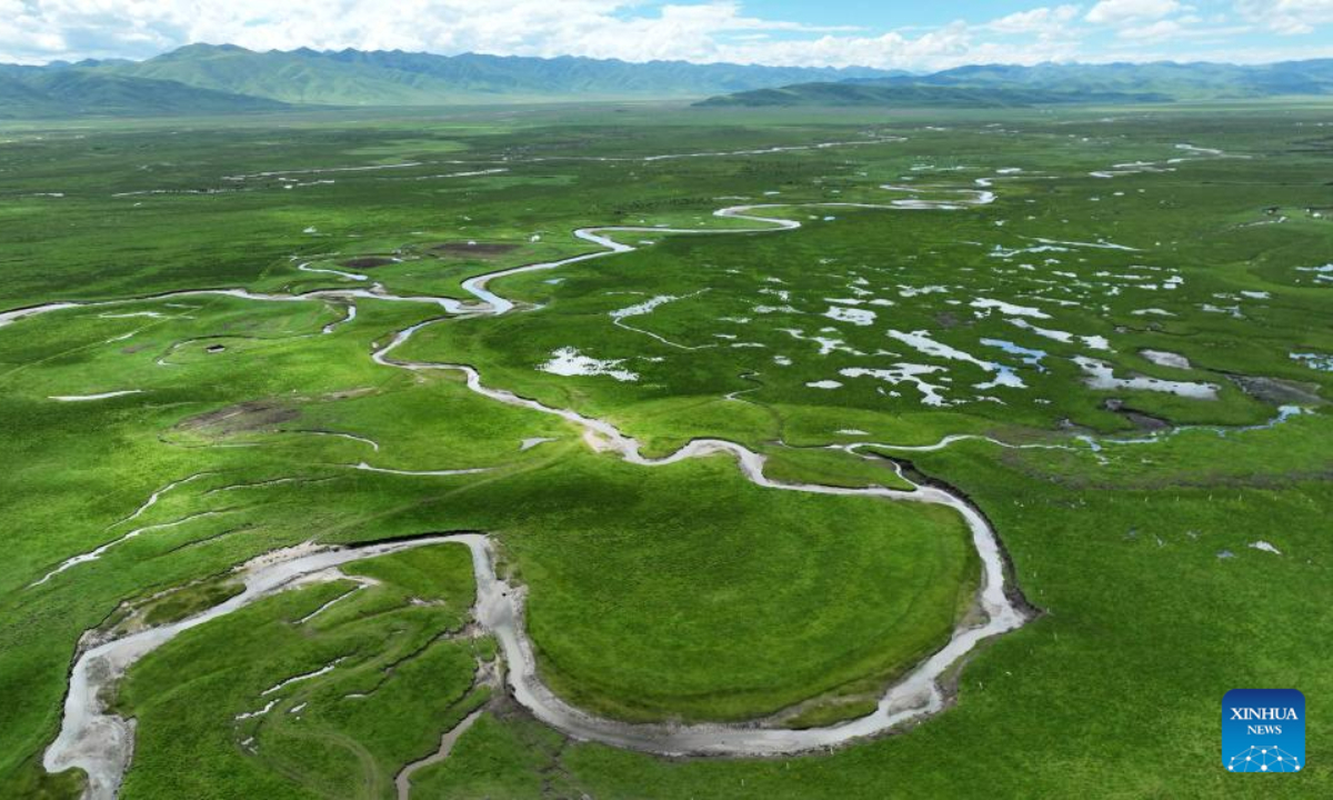 This aerial photo taken on July 6, 2023 shows the summer scenery of the Awancang Wetland in Maqu County, Gannan Tibetan Autonomous Prefecture of northwest China's Gansu Province. Photo:Xinhua