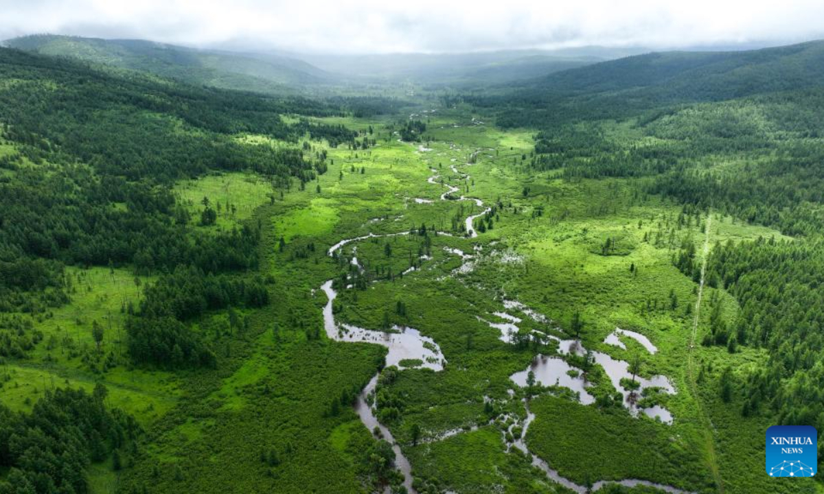 This aerial photo taken on July 6, 2023 shows tourists enjoying themselves at the Arxan National Forest Park in Arxan of Hinggan League, north China's Inner Mongolia Autonomous Region. Photo:Xinhua