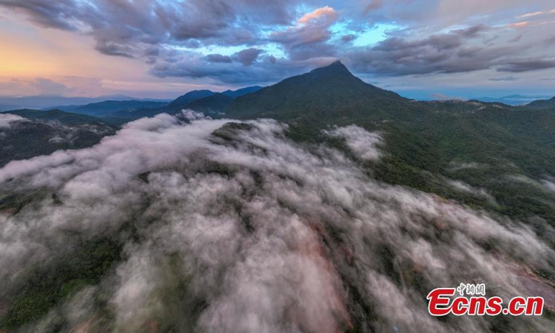 Wuzhi Mountain is shrouded by orange clouds at dusk at Hainan Tropical Rainforest National Park in south China's Hainan Province, June 29, 2023. (Photo: China News Service/Luo Yunfei)