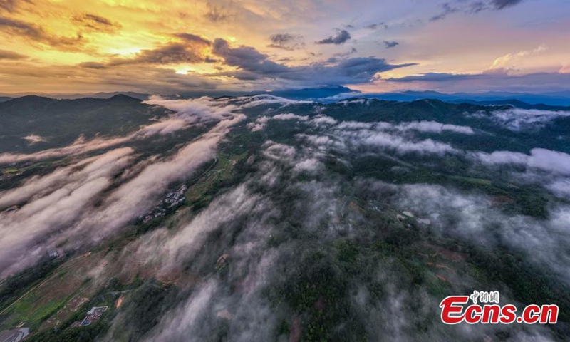 Wuzhi Mountain is shrouded by orange clouds at dusk at Hainan Tropical Rainforest National Park in south China's Hainan Province, June 29, 2023. (Photo: China News Service/Luo Yunfei)