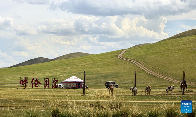 This photo taken on June 29, 2023 shows a view of Hulun Buir grassland in Hulun Buir, north China's Inner Mongolia Autonomous Region. (Xinhua/Lan Hongguang)