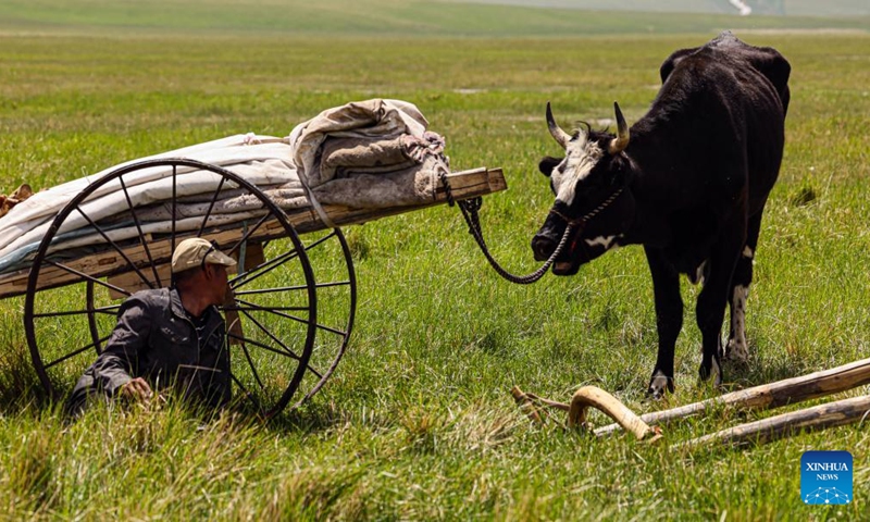 A shepherd looks at his cattle in Hulun Buir, north China's Inner Mongolia Autonomous Region, July 1, 2023. (Xinhua/Lan Hongguang)