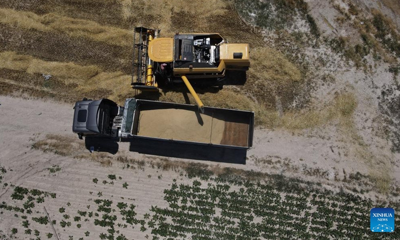 This aerial photo taken on July 2, 2023 shows farmers harvesting wheat in a field in Ankara, Türkiye. (Photo by Mustafa Kaya/Xinhua)