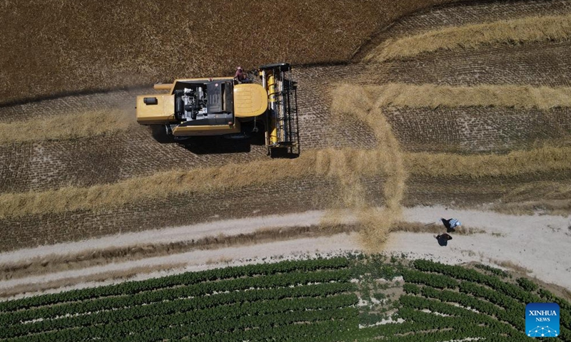 This aerial photo taken on July 2, 2023 shows farmers harvesting wheat in a field in Ankara, Türkiye. (Photo by Mustafa Kaya/Xinhua)