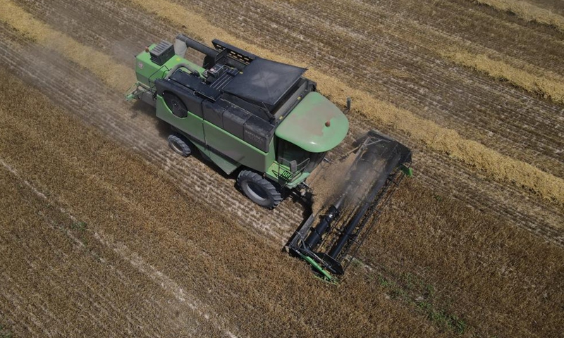 This aerial photo taken on July 2, 2023 shows farmers harvesting wheat in a field in Ankara, Türkiye. (Photo by Mustafa Kaya/Xinhua)