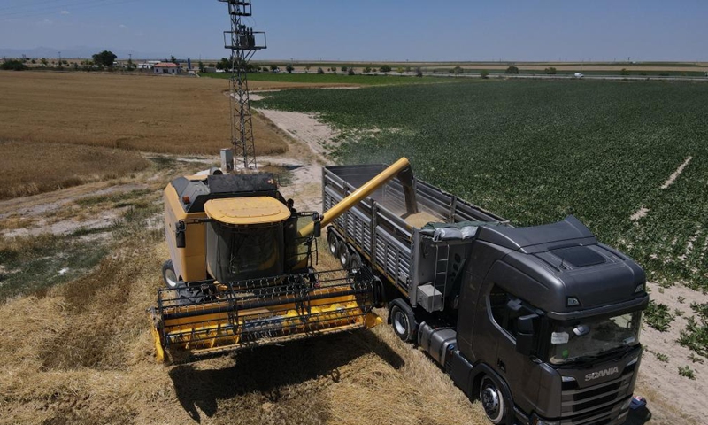 This aerial photo taken on July 2, 2023 shows farmers harvesting wheat in a field in Ankara, Türkiye. (Photo by Mustafa Kaya/Xinhua)