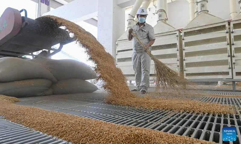 A worker transports grains at Dagang branch of Central Grain Reserve Tianjin Dongli Direct Warehouse Co., Ltd. in north China's Tianjin, July 5, 2023. Twenty-three new warehouses are put into use at Dagang branch of Central Grain Reserve Tianjin Dongli Direct Warehouse Co., Ltd., adding a total storage capacity of about 200,000 tons to the major grain reserve depot in Tianjin.(Photo: Xinhua)