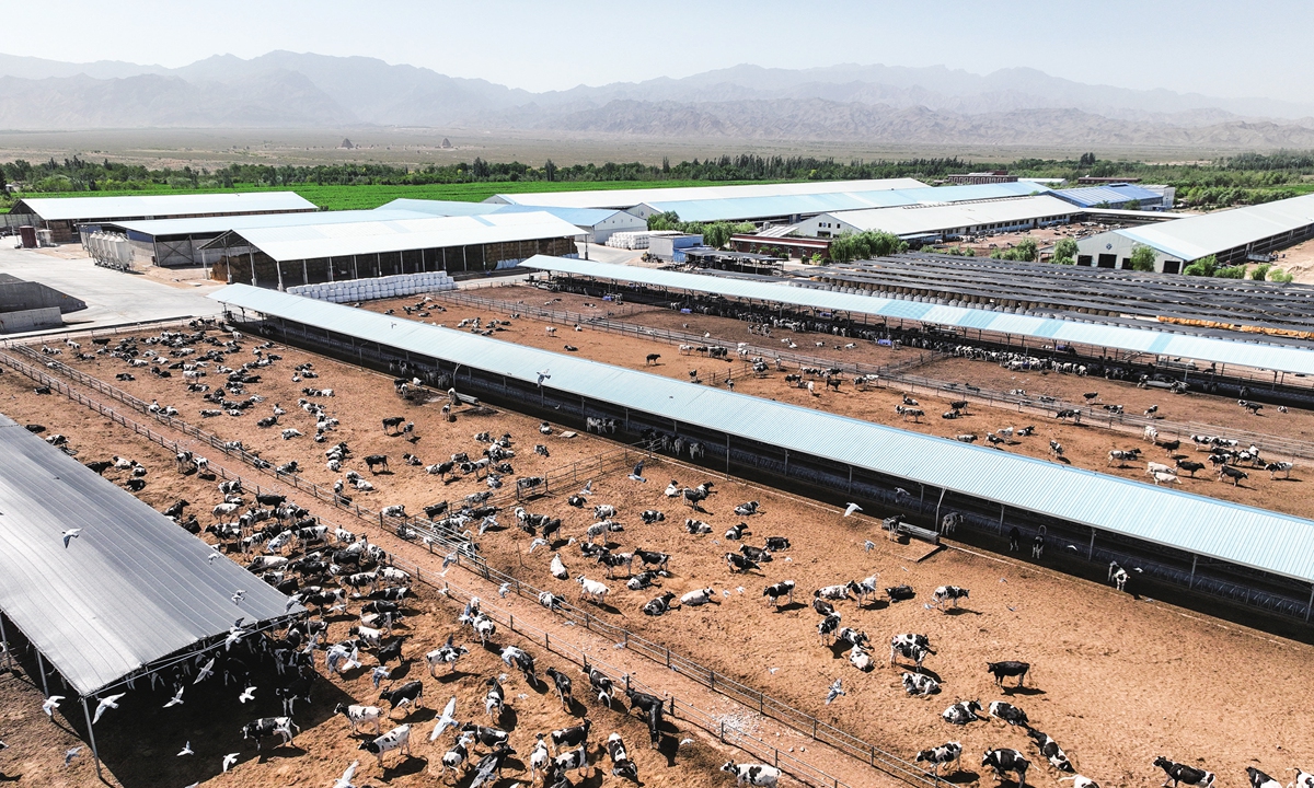 A dairy cow breeding base is seen in the eastern foothill of the Helan Mountain in Ningxia, Northwest China on July 4, 2023. Ningxia, known as one of China's dairy industry hubs, aims to raise a total of 1 million dairy cows by 2025, with an annual output of 5.5 million tons of fresh milk.
Photo: cnsphoto