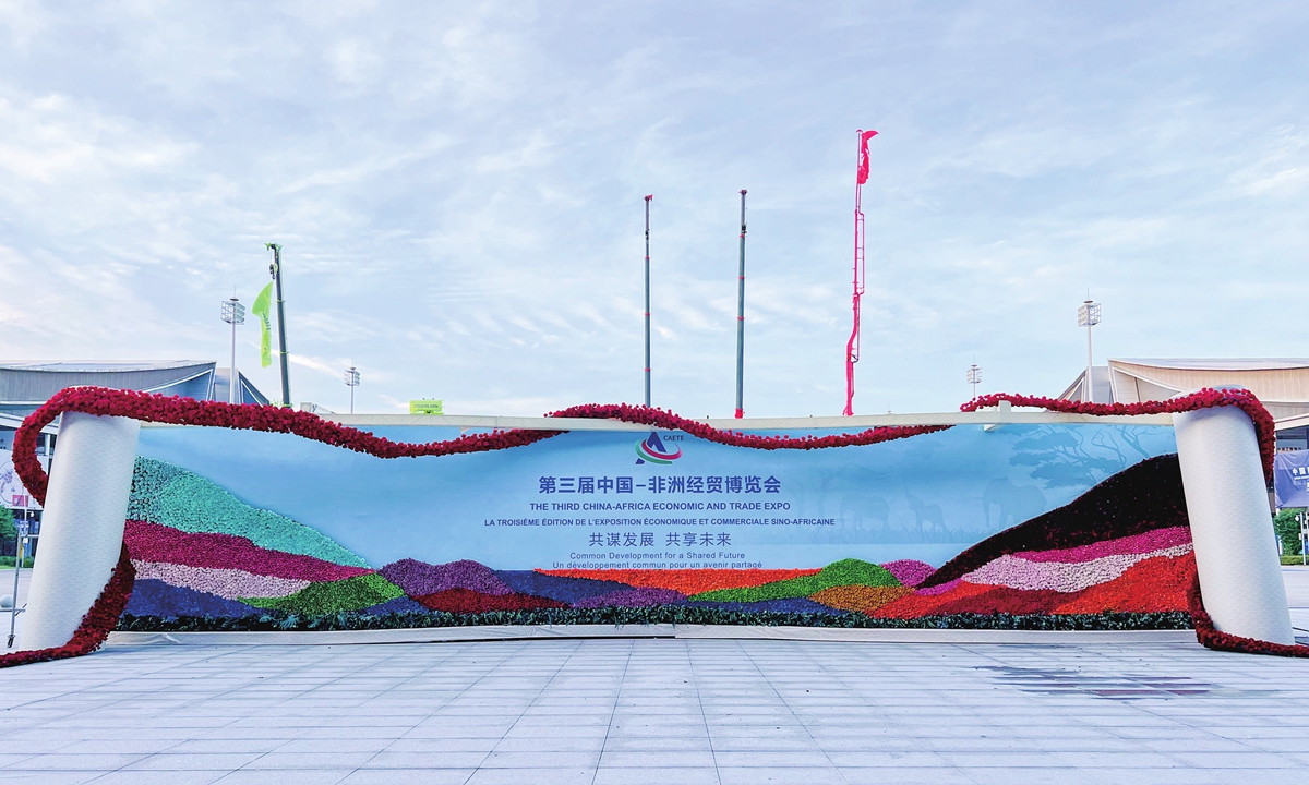 Flowers imported from Kenya are used for decorating a board of the Third China-Africa Economic and Trade Expo held in Changsha, Central China's Hunan Province, on June 29, 2023. Photos: Courtesy of Hunan-based Xiyue Cultural Media Co