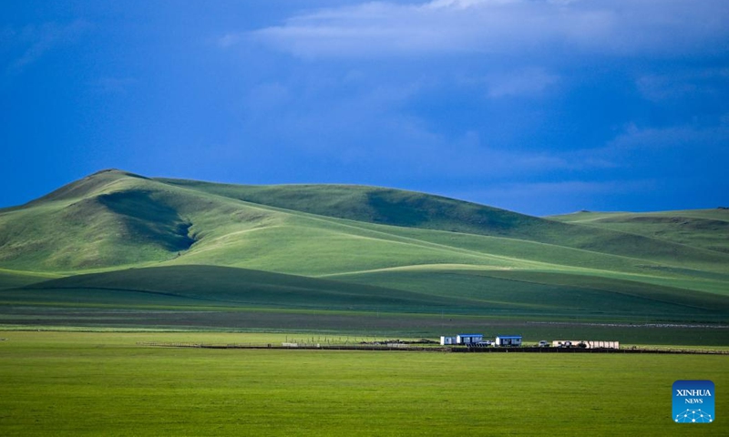 This photo taken on July 5, 2023 shows the scenery of the grassland in Holin Gol, north China's Inner Mongolia Autonomous Region. The picturesque grassland in Holin Gol, located at the intersection of Horqin Grassland, Xilin Gol Grassland and Hulunbuir Grassland, is one of the primitive grasslands in Inner Mongolia Autonomous Region.(Photo: Xinhua)