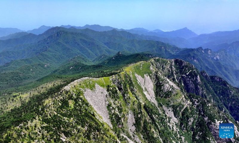 This aerial photo taken on July 21, 2023 shows the scenery at the Zhuque National Forest Park in Xi'an, northwest China's Shaanxi Province. (Xinhua/Liu Xiao)