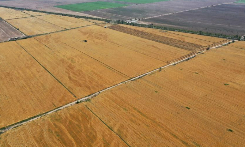 This aerial photo taken on July 15, 2023 shows wheat fields in Hutubi County, northwest China's Xinjiang Uygur Autonomous Region. This year's summer grain harvest in northwest China's Xinjiang has entered a key period. Over 10 million mu (about 666,666.67 hectares) of wheat has been harvested so far. (Xinhua/Ding Lei)