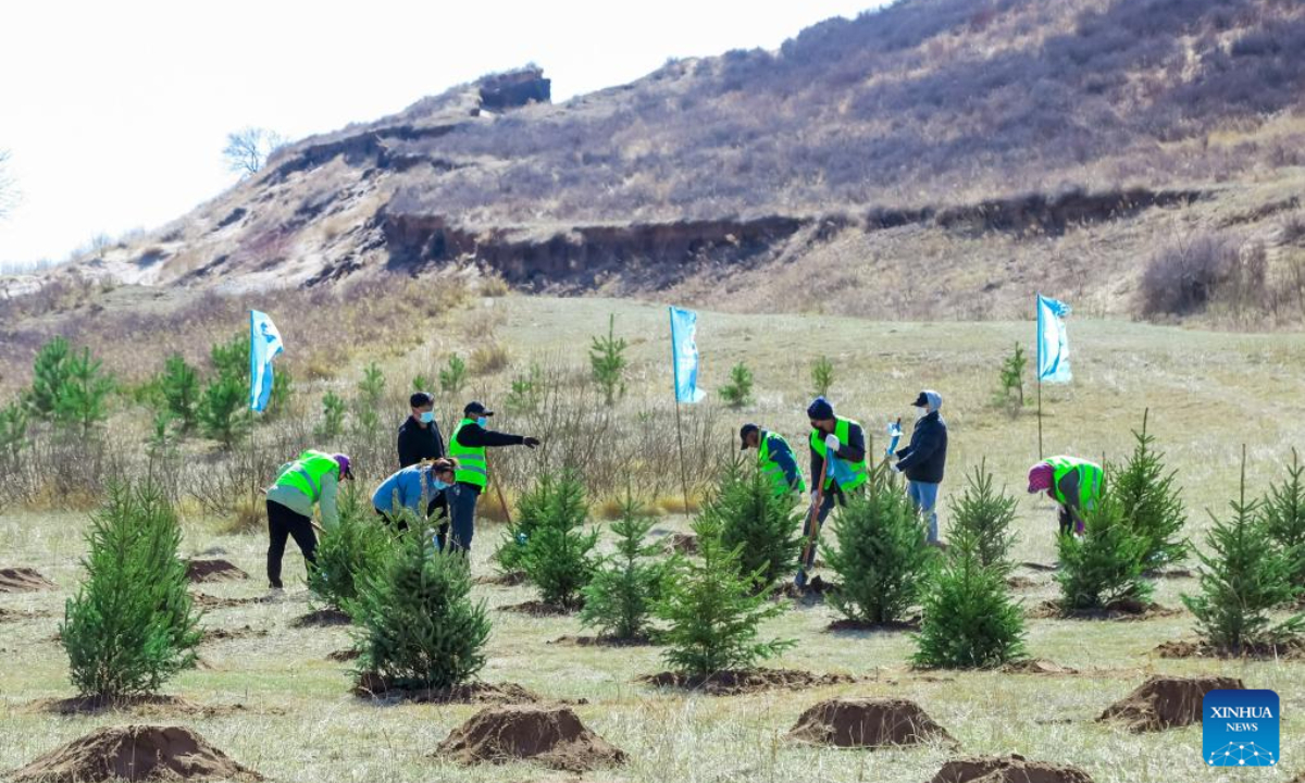 Volunteers plant trees in Hunshandake Sandland in north China's Inner Mongolia Autonomous Region, April 22, 2023. Photo:Xinhua