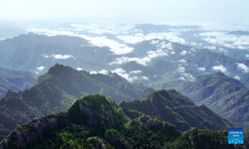 This aerial photo taken on July 21, 2023 shows cloud sea on Qinling Mountains seen from the Zhuque National Forest Park in Xi'an, northwest China's Shaanxi Province. (Xinhua/Liu Xiao)