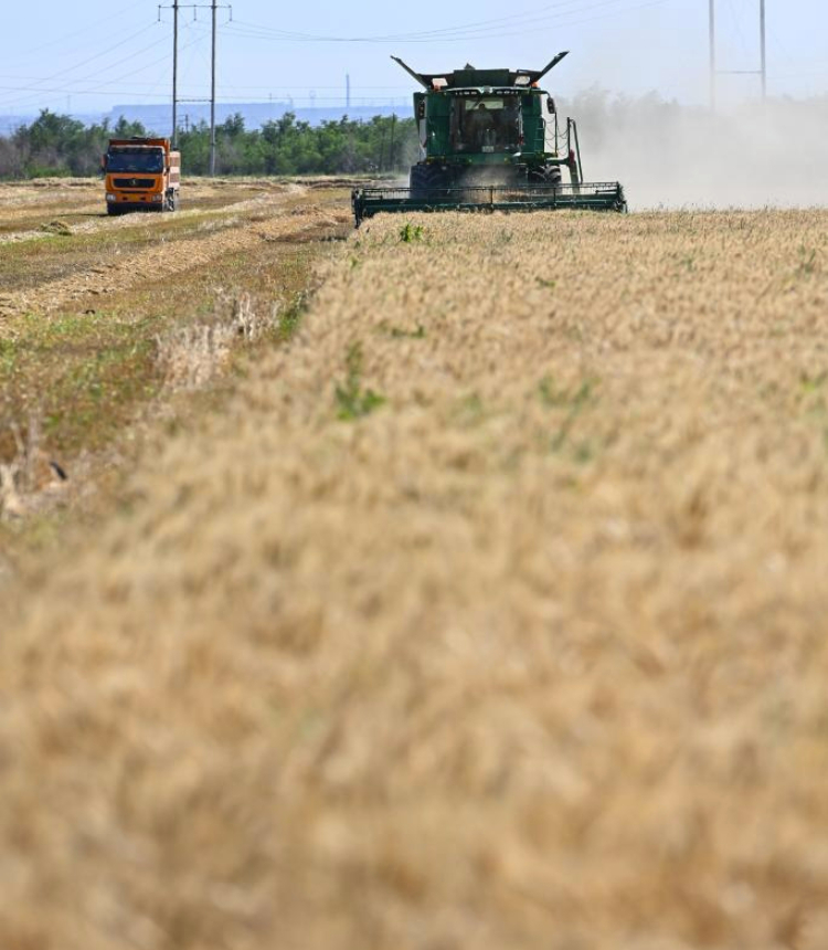 This photo taken on July 15, 2023 shows a farmer harvesting wheat in Hutubi County, northwest China's Xinjiang Uygur Autonomous Region. This year's summer grain harvest in northwest China's Xinjiang has entered a key period. Over 10 million mu (about 666,666.67 hectares) of wheat has been harvested so far. (Xinhua/Ding Lei)