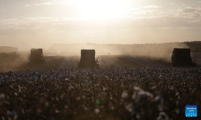 Reapers harvest cotton at a cotton field in the Pamplona farm in Cristalina, Goias, Brazil, July 10, 2023.(Photo: Xinhua)